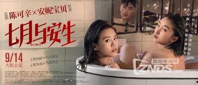 国产亚洲女同在线观看