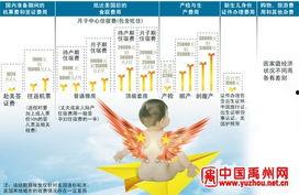 美国产子政策